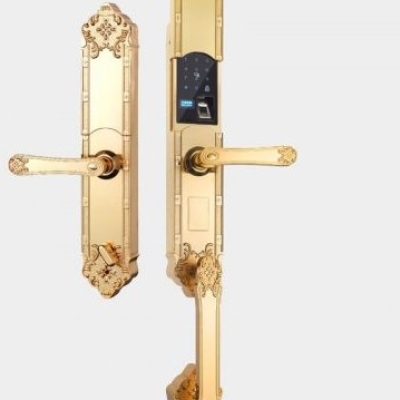 Khóa cửa vân tay cổ điển OC999